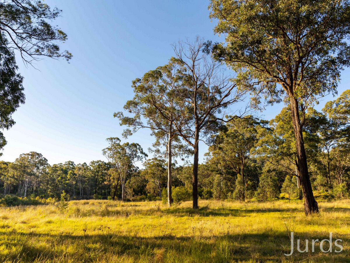 425 Lake Road, Elrington, Elrington - Thumbnail 8