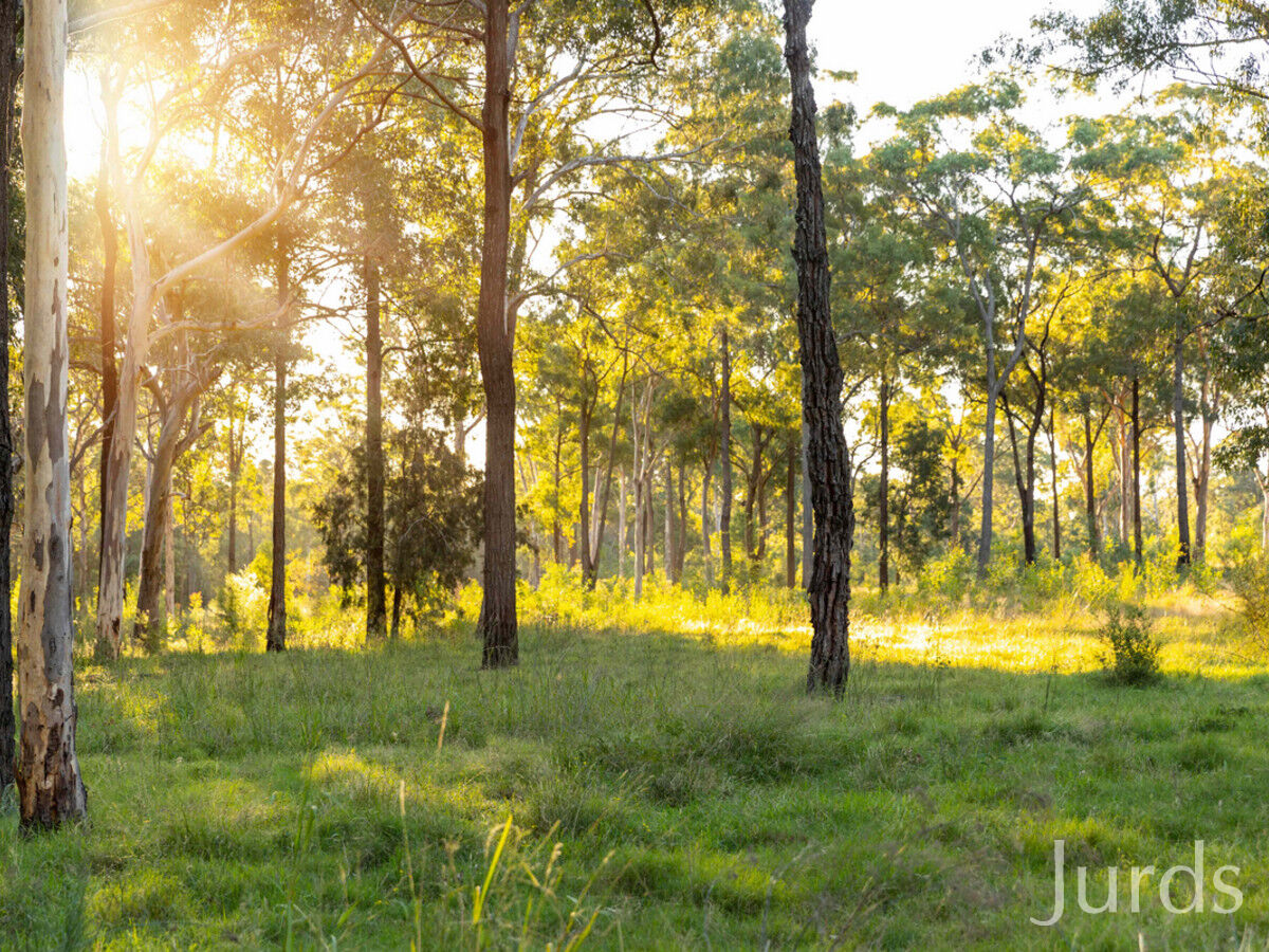 425 Lake Road, Elrington, Elrington - Thumbnail 7