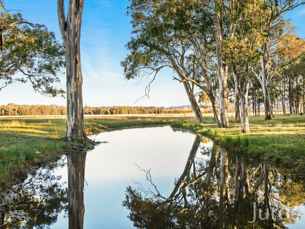 132 ACRES IN HUNTER VALLEY WINE COUNTRY, Pokolbin - Thumbnail 6