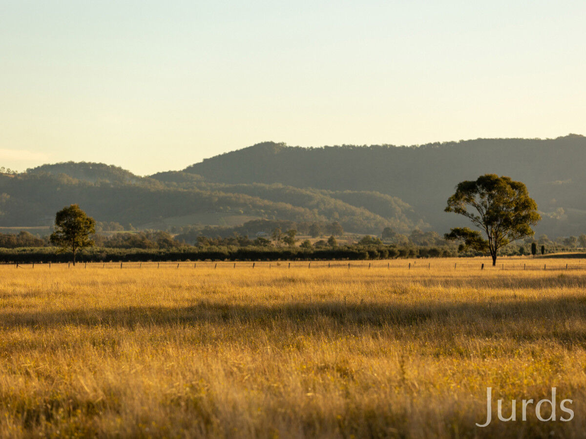 132 ACRES IN HUNTER VALLEY WINE COUNTRY, Pokolbin - Thumbnail 2