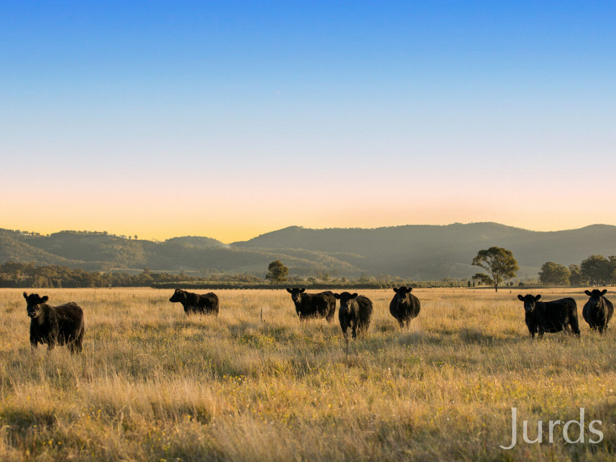 132 ACRES IN HUNTER VALLEY WINE COUNTRY, Pokolbin - Thumbnail 3