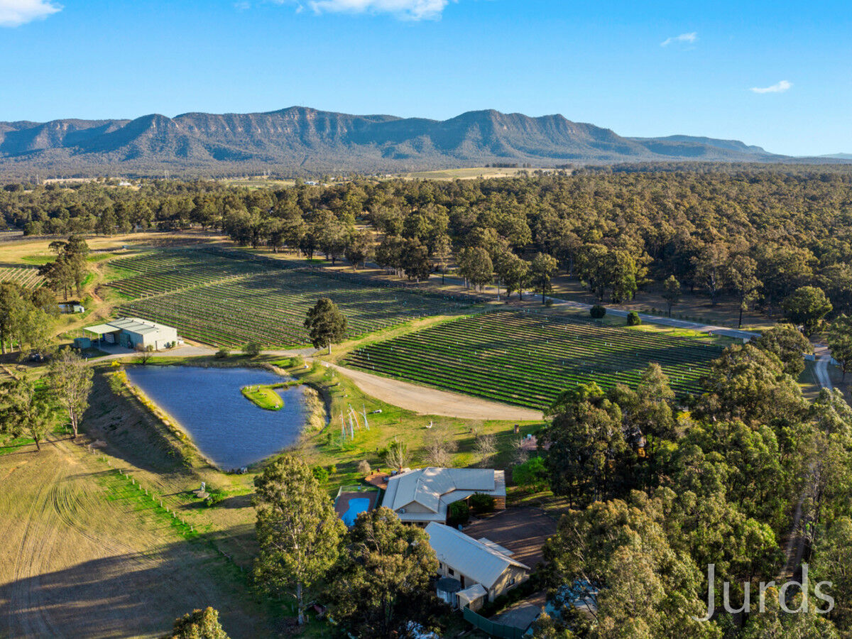 MISTLETOE ESTATE HUNTER VALLEY Jurds Real Estate