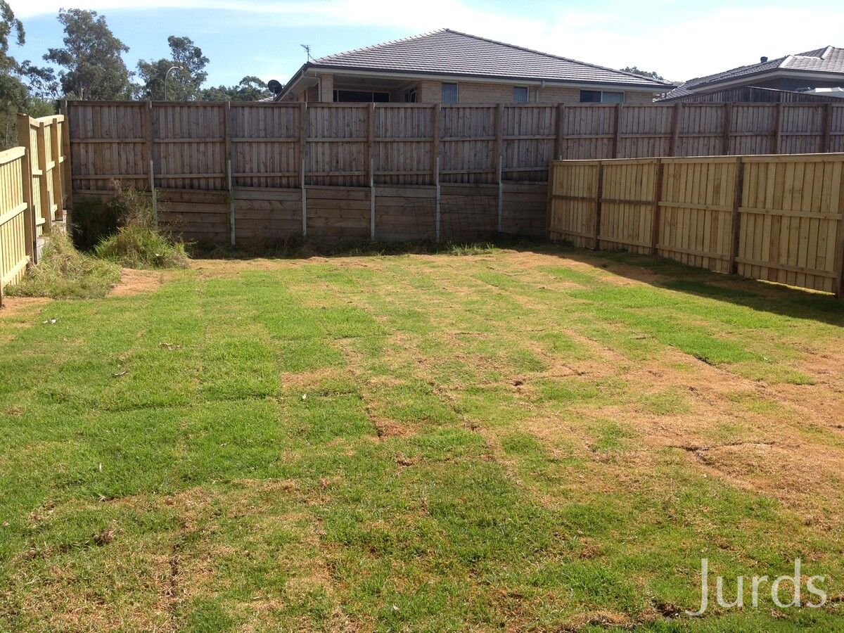 15 Arrowgrass Street, Aberglasslyn, Aberglasslyn - Thumbnail 2