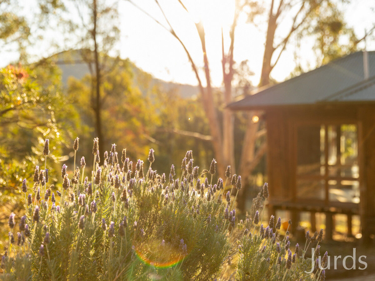 697 Wollombi Road, Broke, Broke - Thumbnail 8