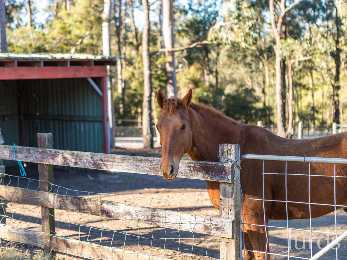 144 Lake Road, ELRINGTON, Elrington - Image 1