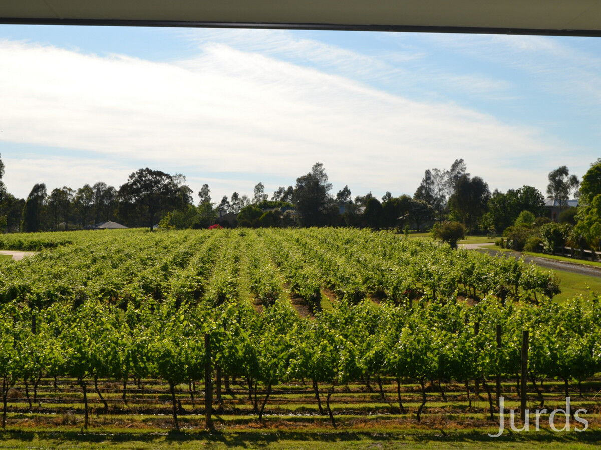 Lot 4 Kelman Vineyard, 2 Oakey Creek Road, POKOLBIN, Road, Pokolbin - Thumbnail 4