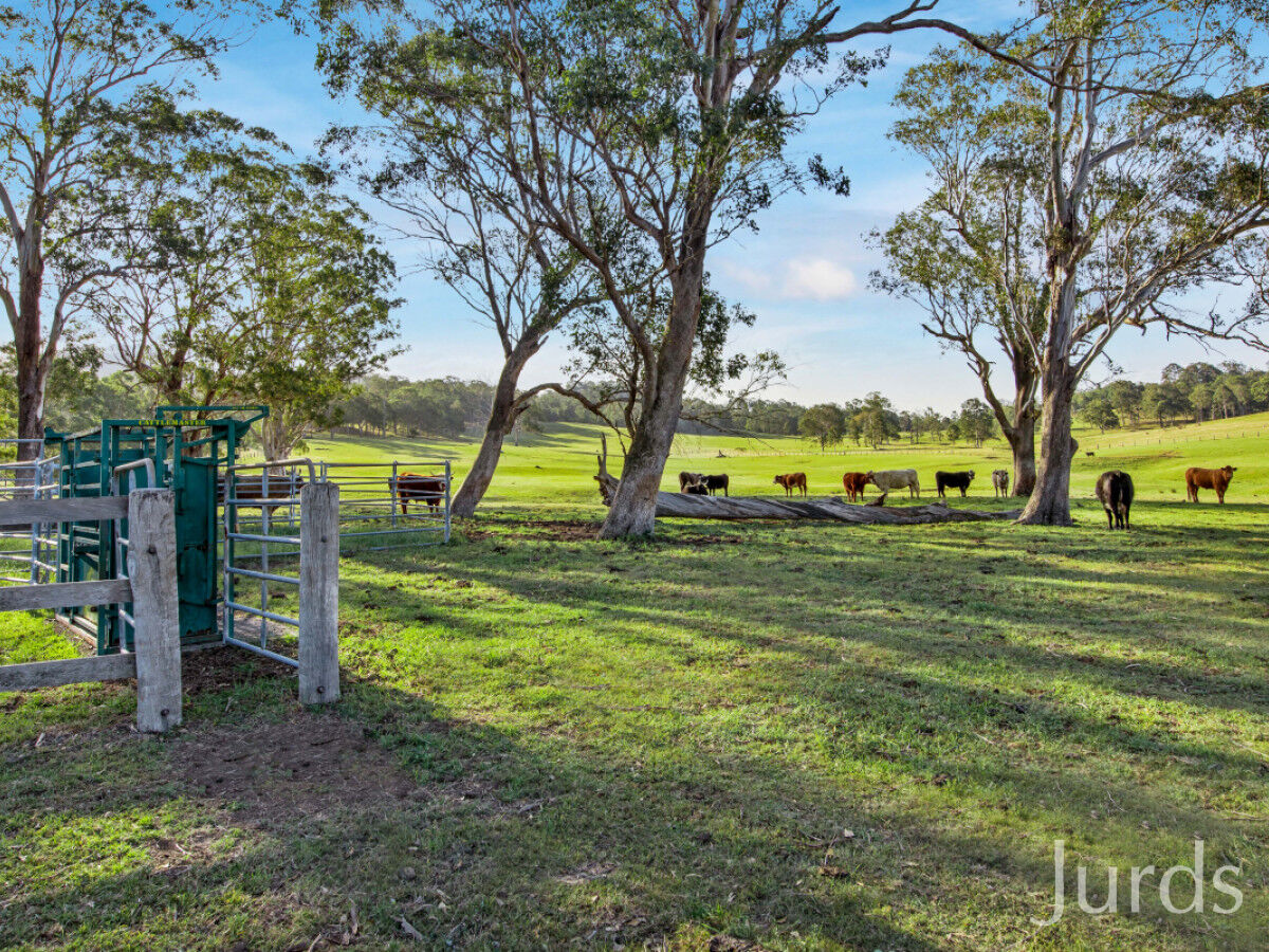 2/90 Hillsborough Road, Hillsborough, Hillsborough - Thumbnail 5