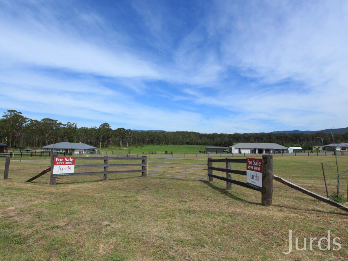 44 Elvin Circuit, Millfield, Millfield - Thumbnail 5