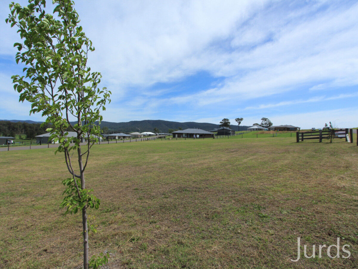 44 Elvin Circuit, Millfield, Millfield - Thumbnail 4
