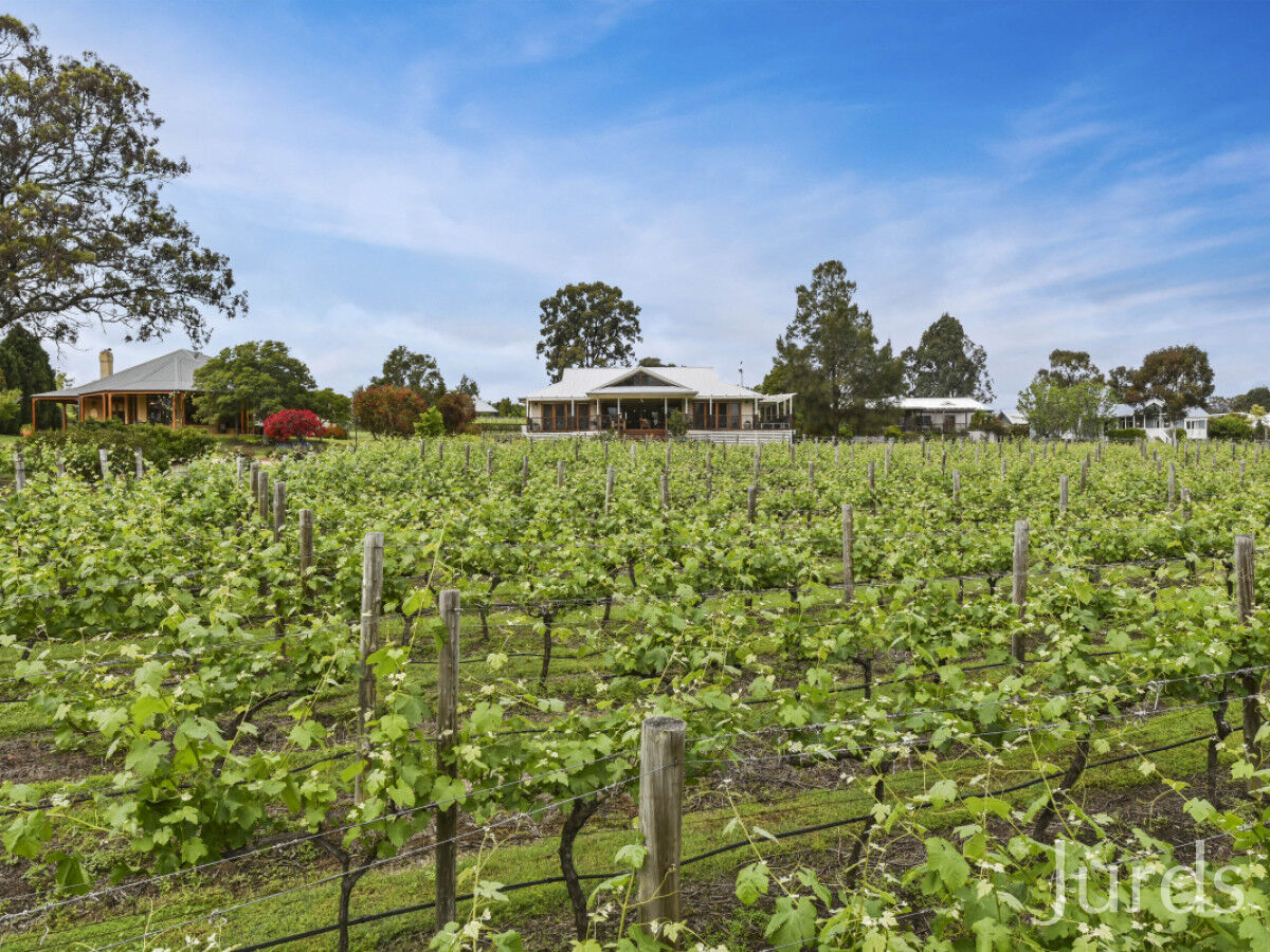 Lot 43 Kelman Estate, 2 Oakey Creek Road, Pokolbin, Road, Pokolbin - Thumbnail 2