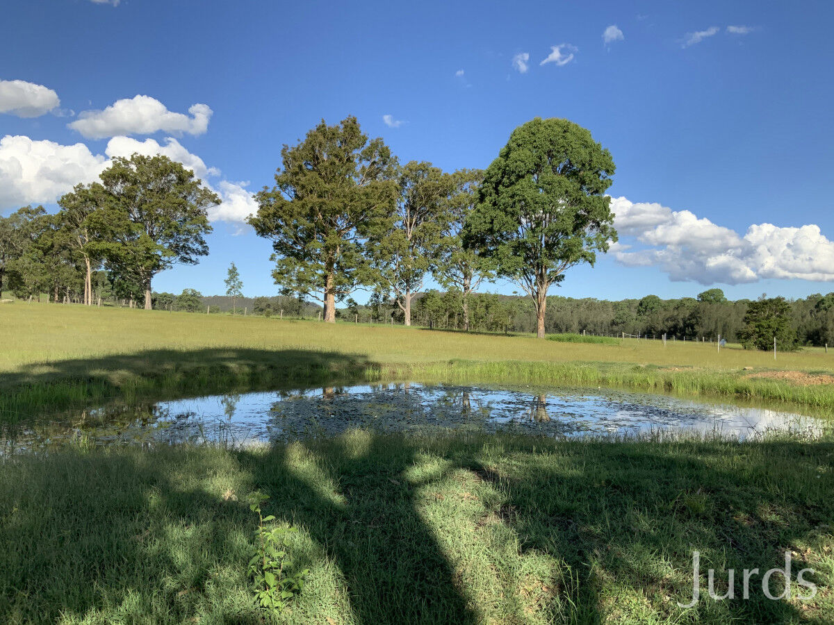 1386 Wine Country Drive, Rothbury, Rothbury - Thumbnail 6