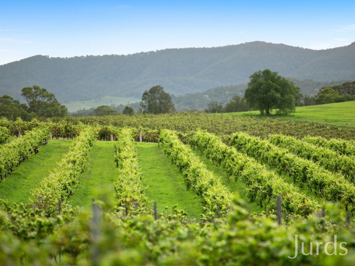 29 Palmers Lane, Pokolbin, Pokolbin - Thumbnail 2