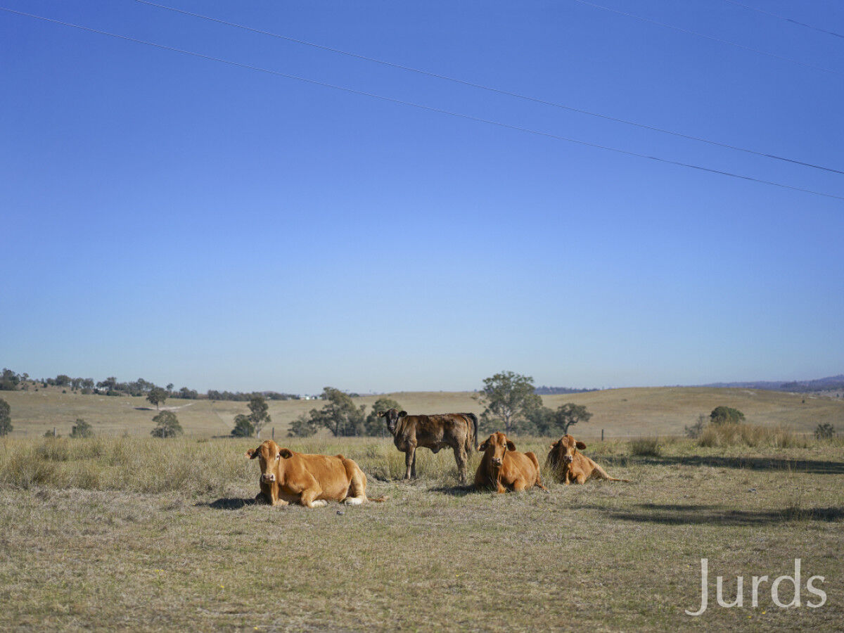 574 Glendonbrook Road, Glendonbrook, Glendon Brook - Image 1