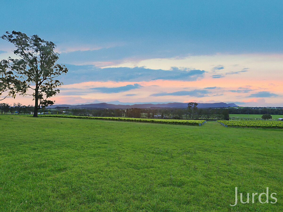 25 Londons Road, LOVEDALE, Lovedale - Thumbnail 2