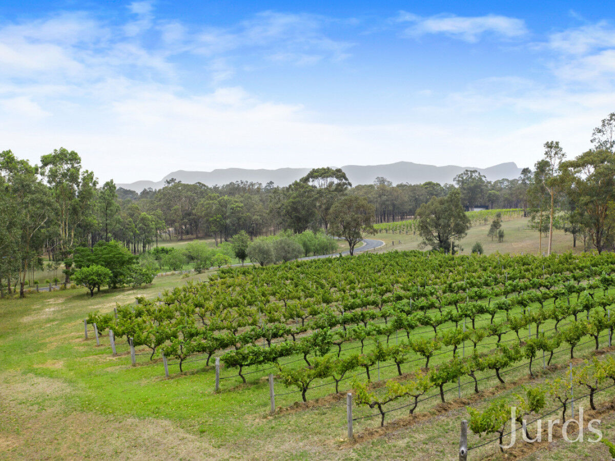 270 Old North Road, POKOLBIN, Pokolbin - Thumbnail 2