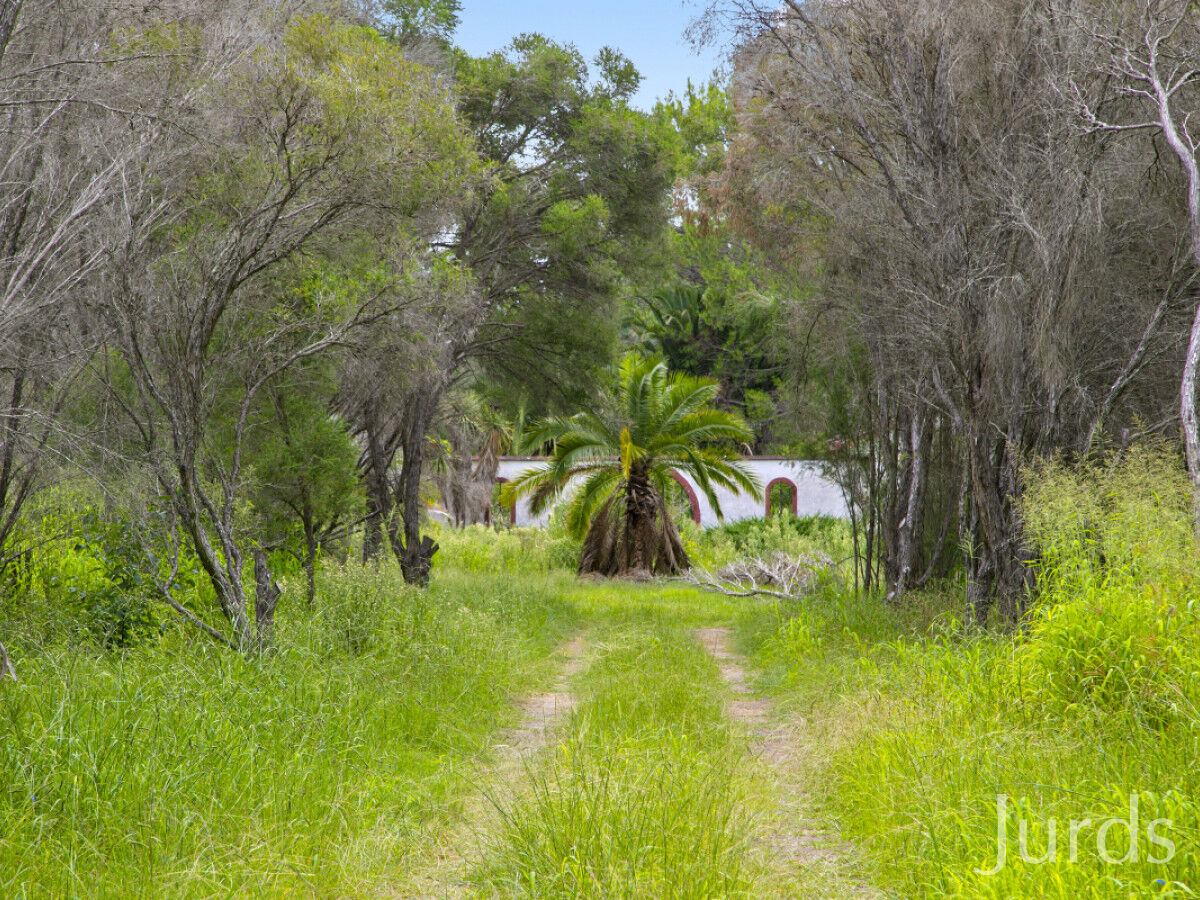 486 Wilderness Road, Lovedale, Lovedale - Thumbnail 8