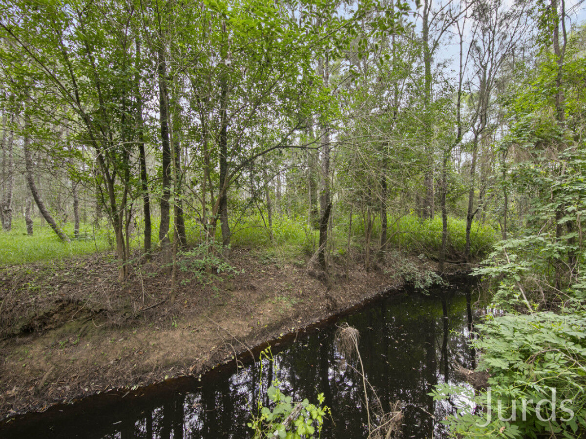 486 Wilderness Road, Lovedale, Lovedale - Thumbnail 6