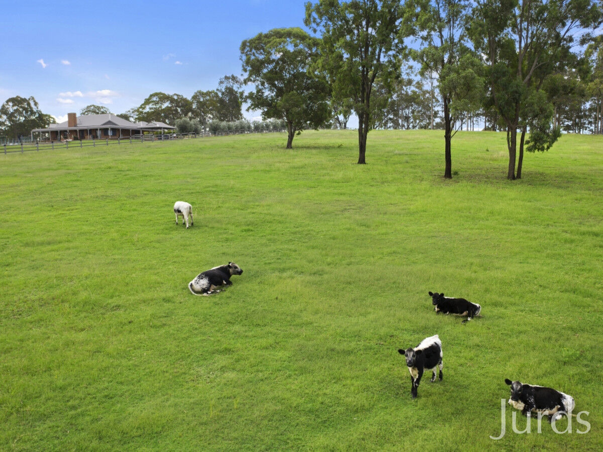 85 Marrowbone Road, POKOLBIN, Pokolbin - Thumbnail 2