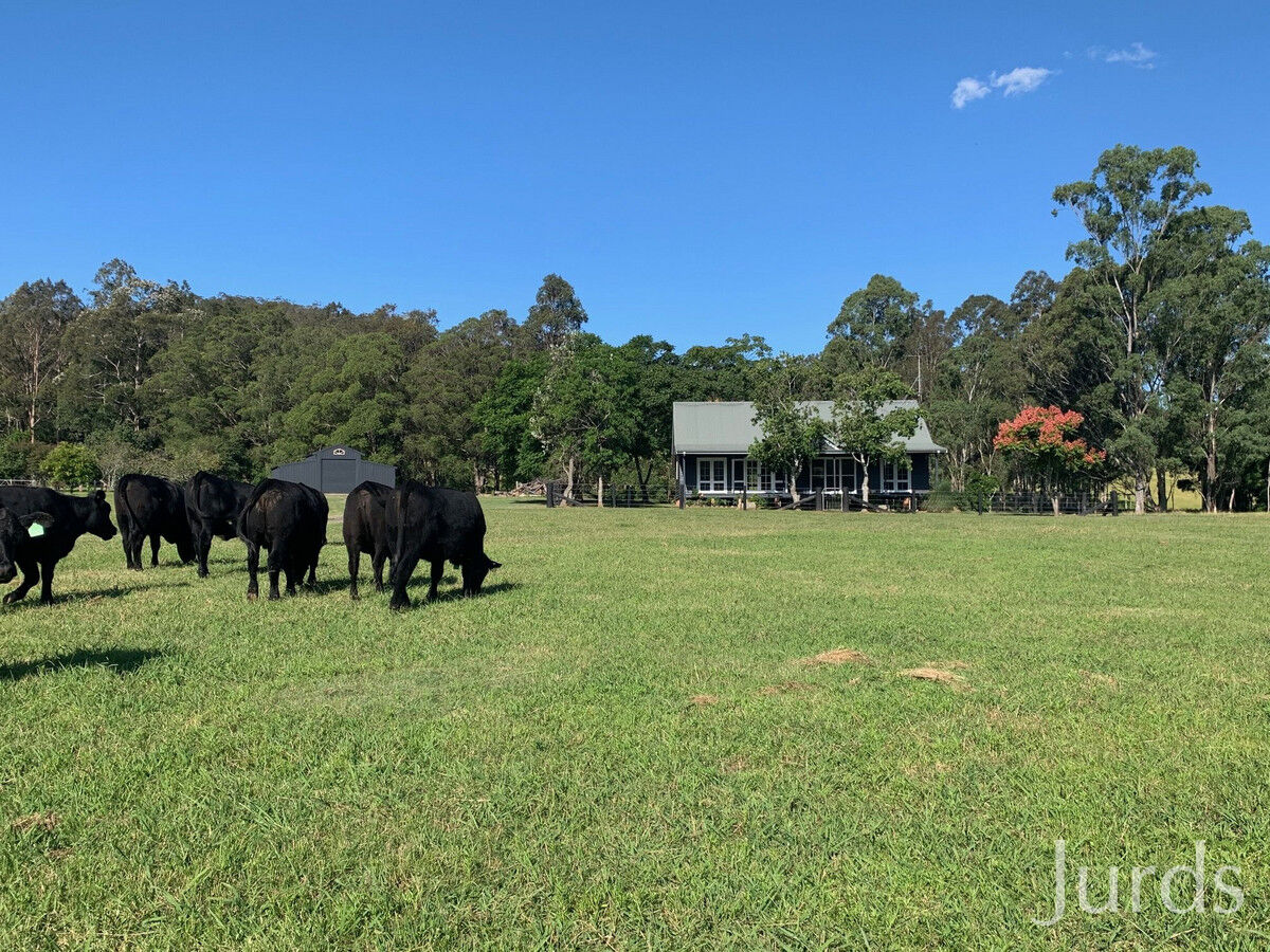 1405 Mount View Road, Mount View, Mount View - Thumbnail 3