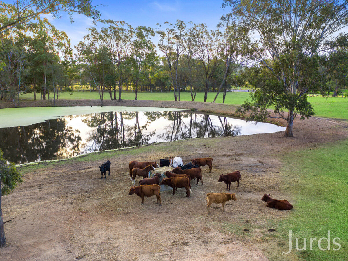 1356 Wine Country Drive, Rothbury, Rothbury - Image 1