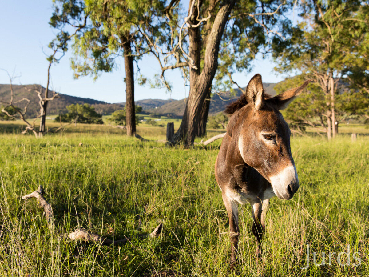 159A Cranky Corner Road, Stanhope, Stanhope - Thumbnail 2