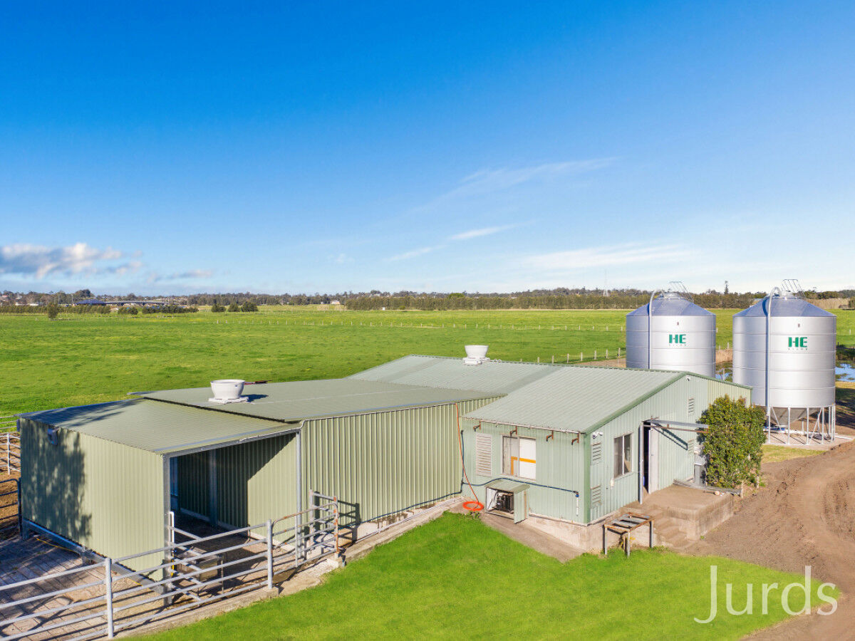 1428 Raymond Terrace Road, Nelsons Plains, Nelsons Plains - Thumbnail 7