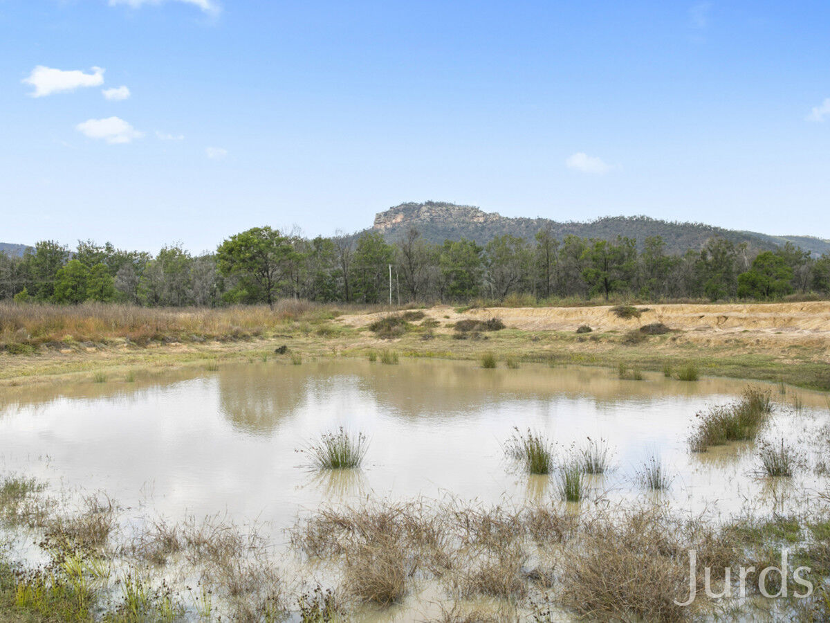 156 Wollombi Road, Broke, Broke - Thumbnail 6