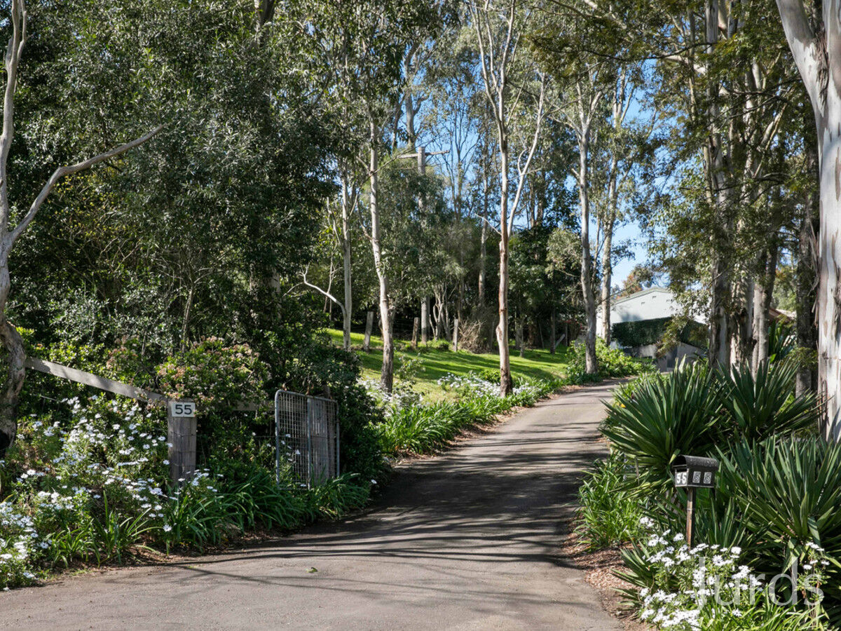 55 Dickenson Road, Melville, Melville - Thumbnail 5