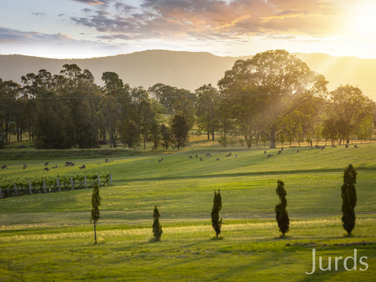 126 Wilderness Road, Lovedale, Lovedale - Thumbnail 6