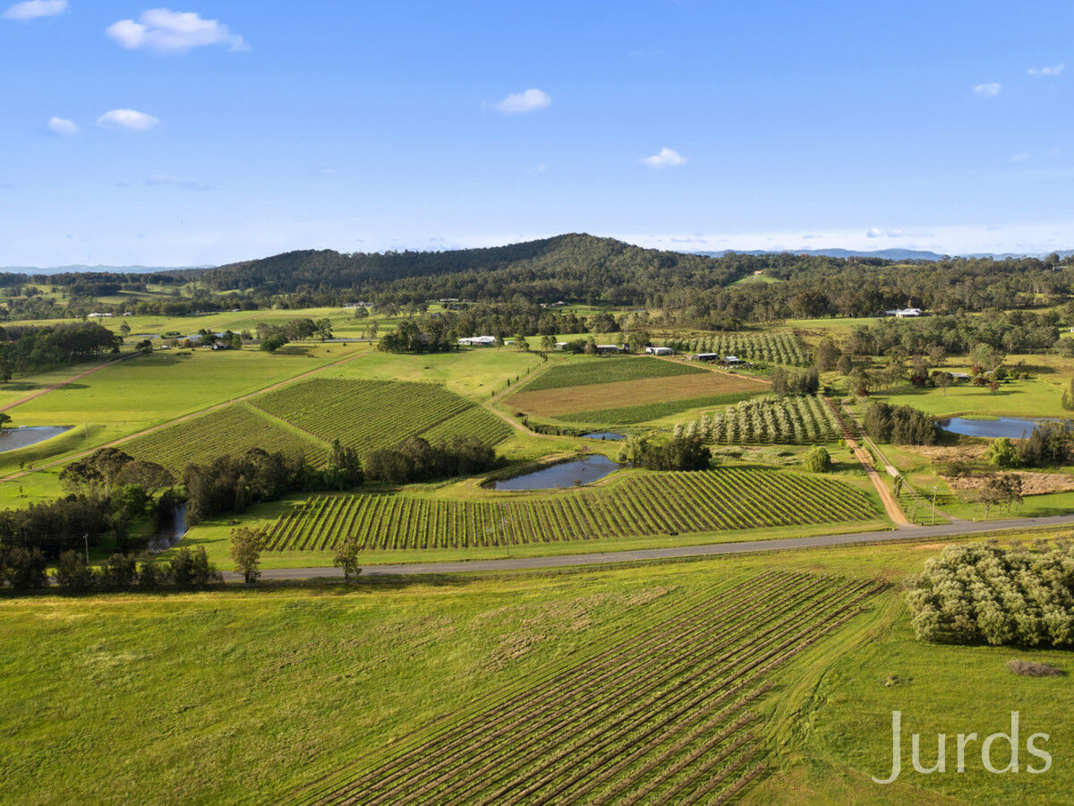 126 Wilderness Road, Lovedale, Lovedale - Thumbnail 2