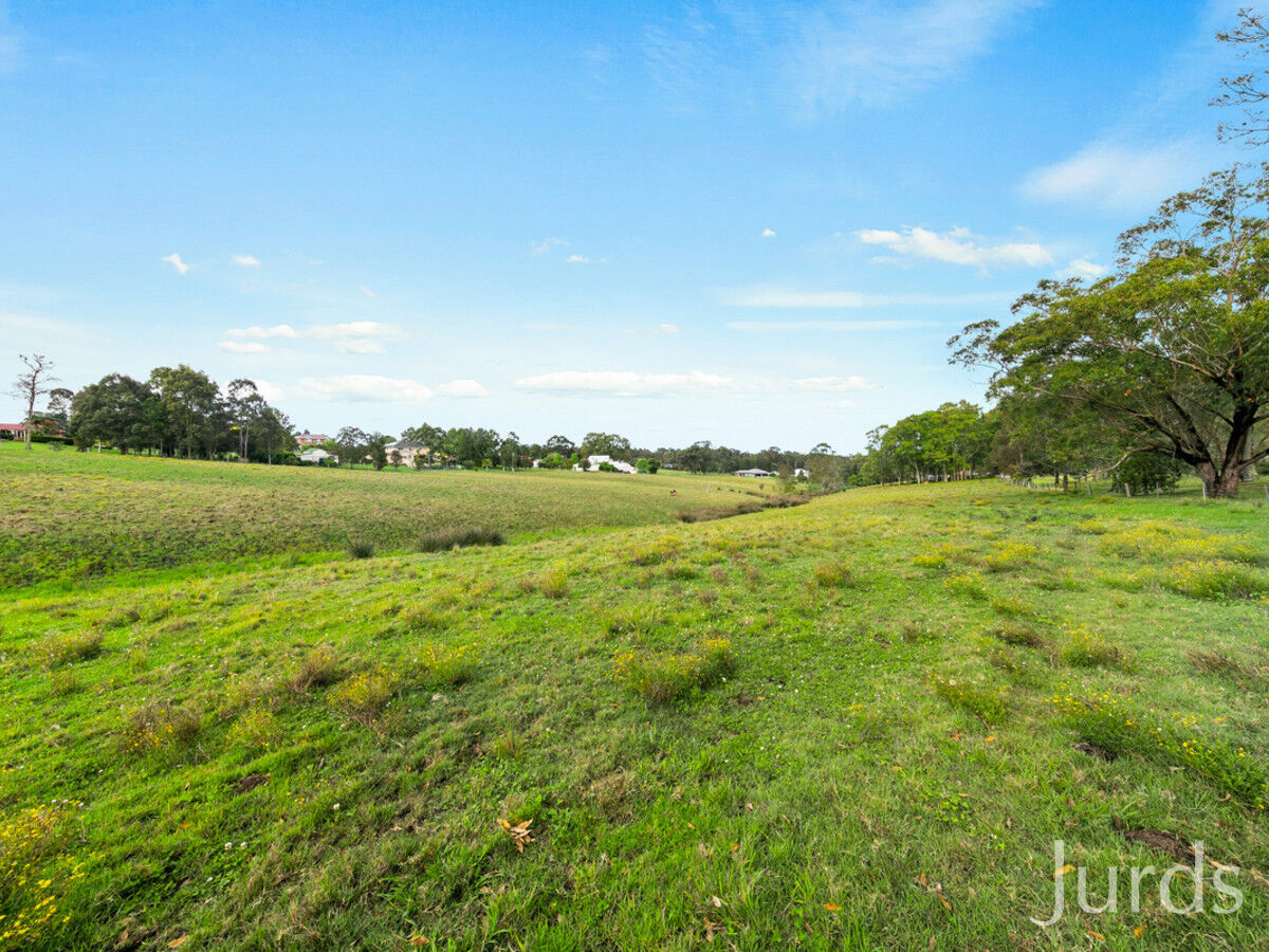 186 Tocal Road, Bolwarra Heights, Bolwarra Heights - Thumbnail 2