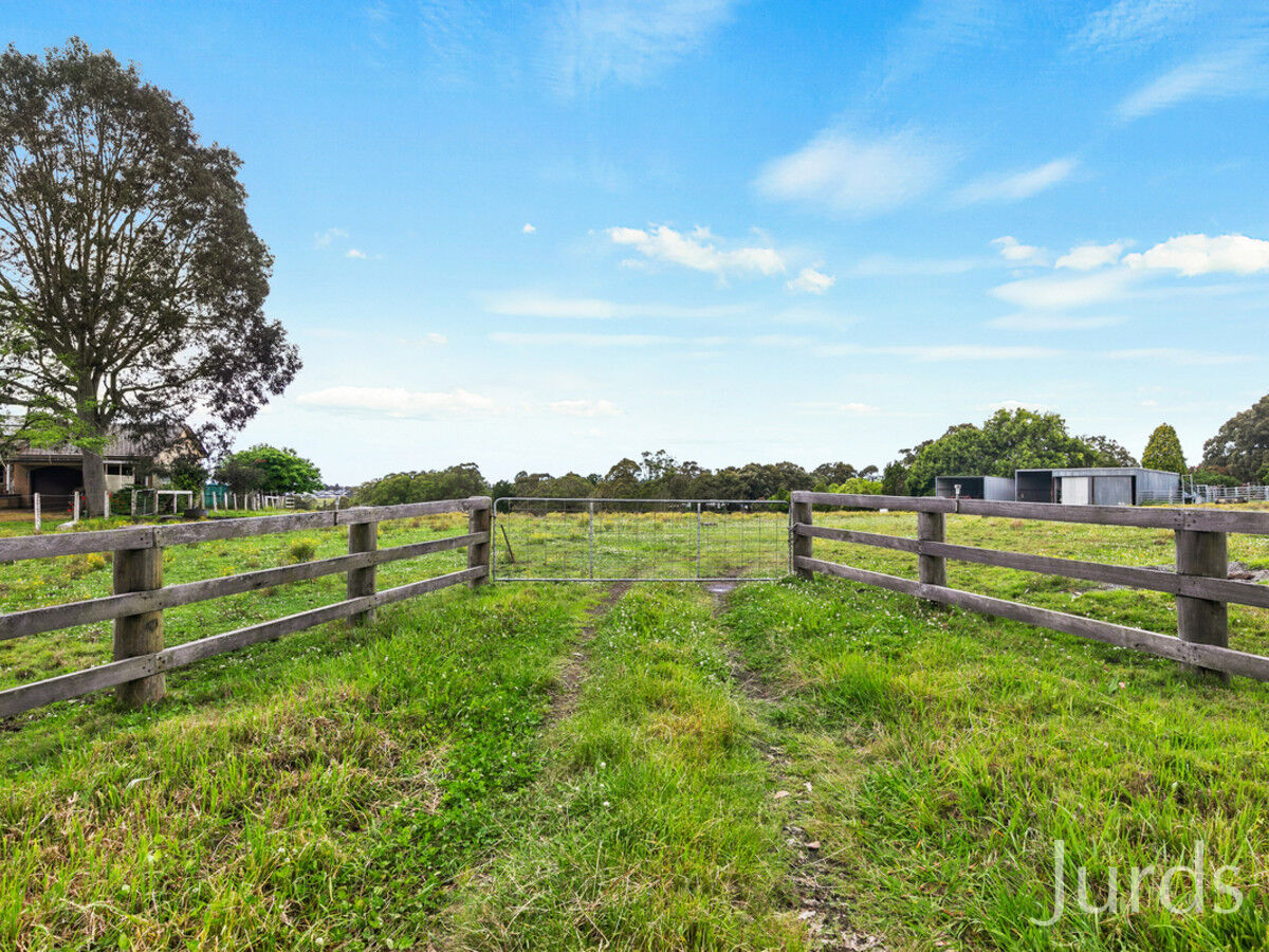 186 Tocal Road, Bolwarra Heights, Bolwarra Heights - Thumbnail 4