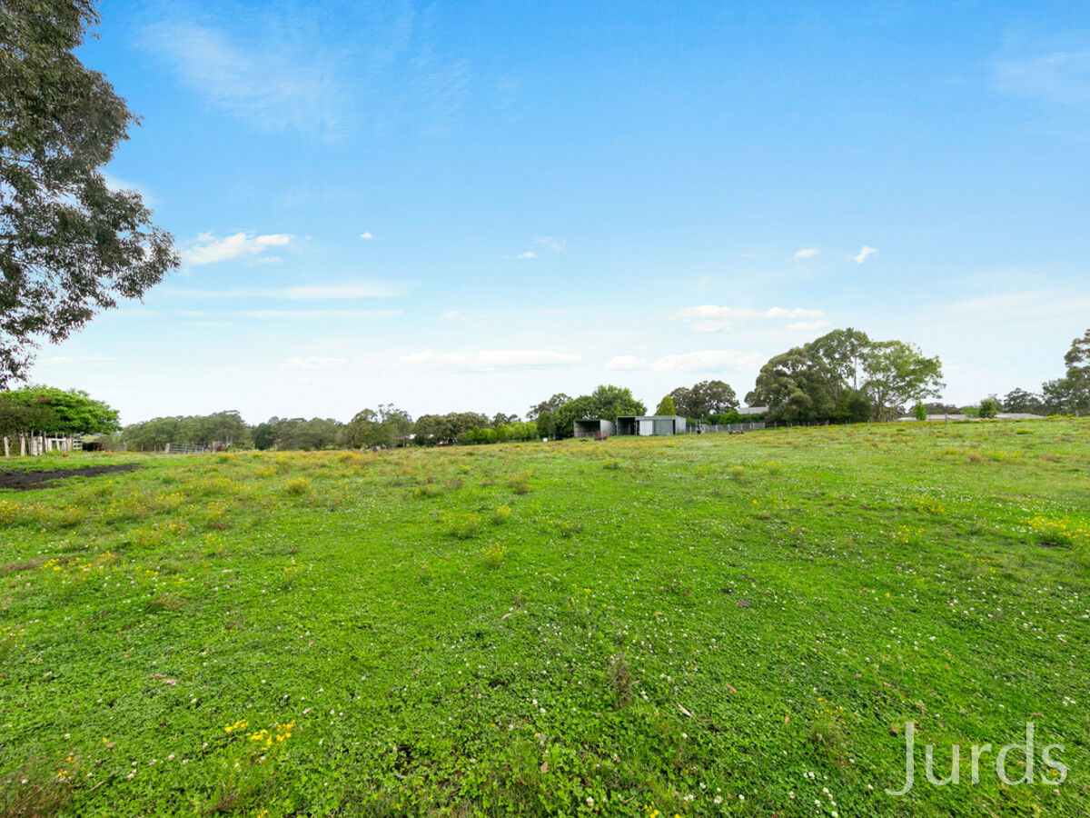 186 Tocal Road, Bolwarra Heights, Bolwarra Heights - Thumbnail 6