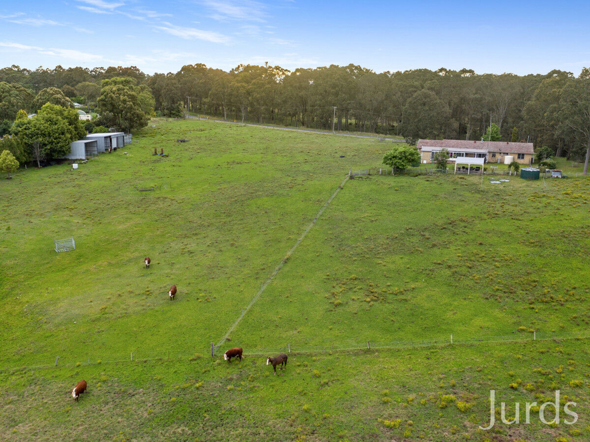 186 Tocal Road, Bolwarra Heights, Bolwarra Heights - Thumbnail 7