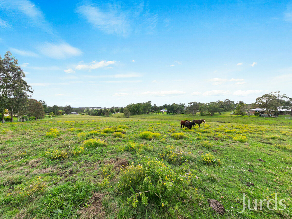 186 Tocal Road, Bolwarra Heights, Bolwarra Heights - Thumbnail 5