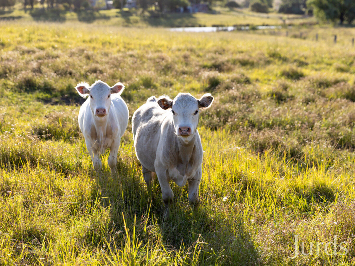 2490C New England Highway, Branxton, Branxton - Thumbnail 2
