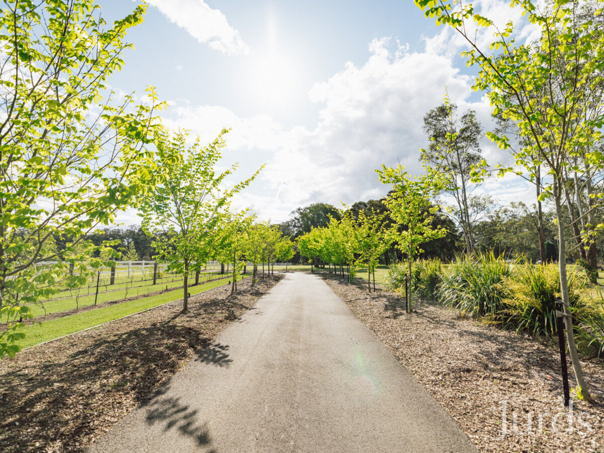 19 Brickmans Lane, Lovedale, Lovedale - Thumbnail 4