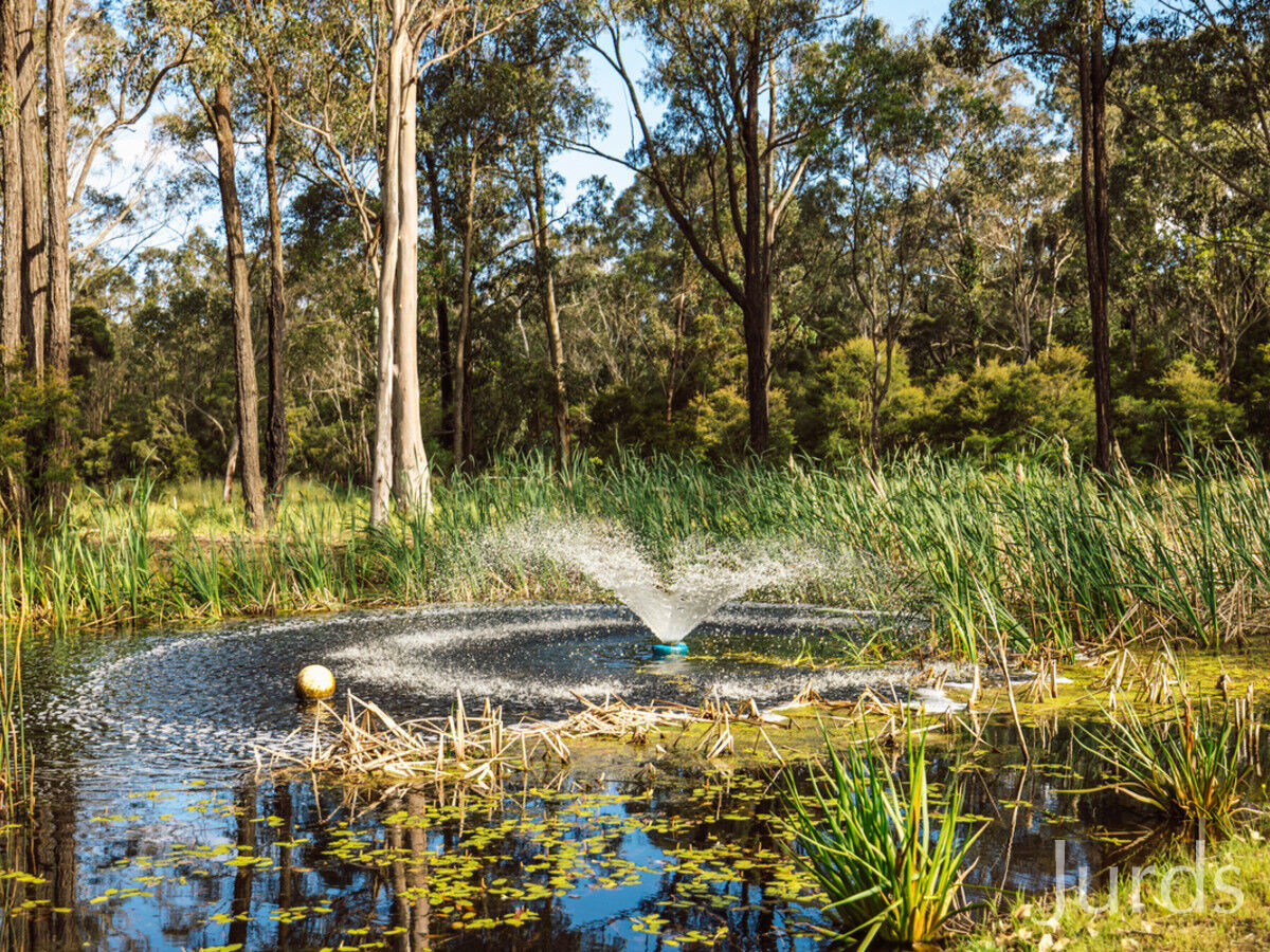 19 Brickmans Lane, Lovedale, Lovedale - Thumbnail 2