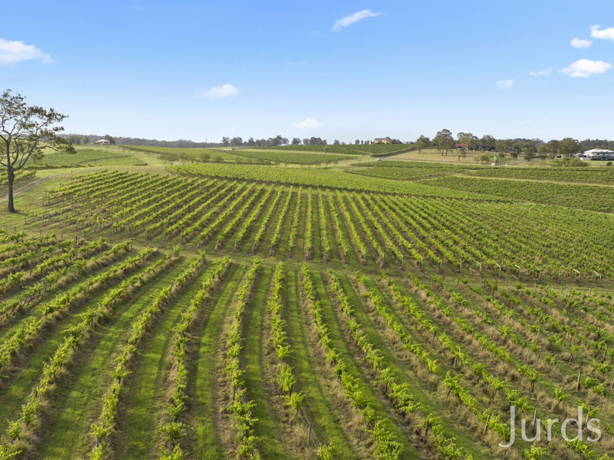 Lot 1 Mistletoe Lane, Pokolbin, Pokolbin - Thumbnail 5