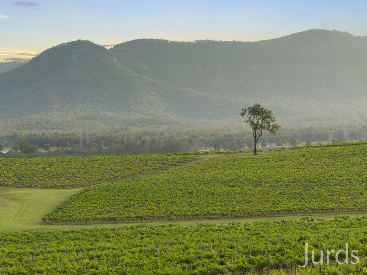 Lot 1 Mistletoe Lane, Pokolbin, Pokolbin - Thumbnail 8