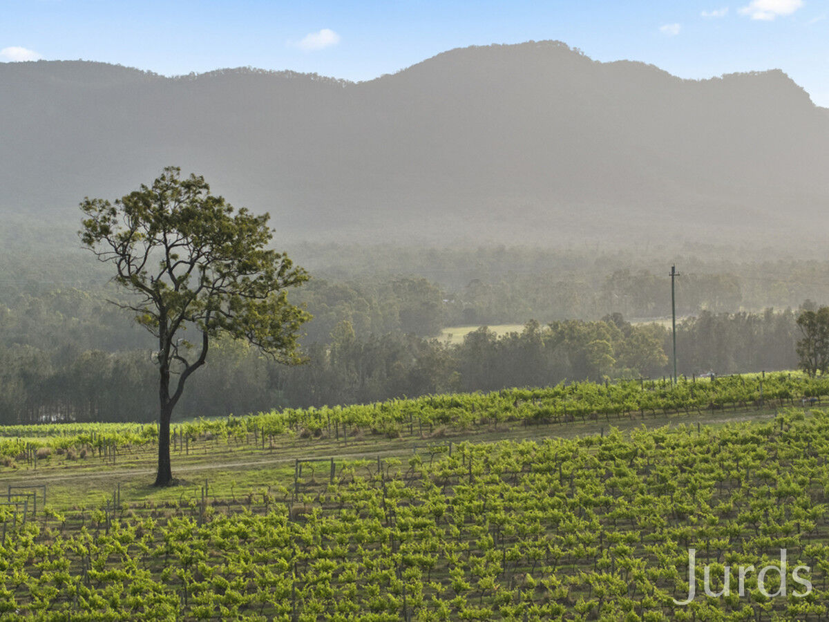 Lot 1 Mistletoe Lane, Pokolbin, Pokolbin - Thumbnail 7