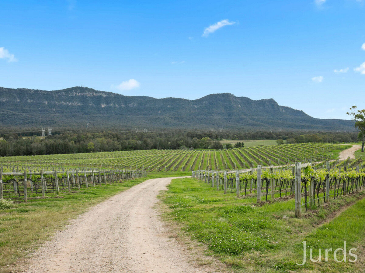 Lot 2 Mistletoe Lane, Pokolbin, Pokolbin - Thumbnail 7
