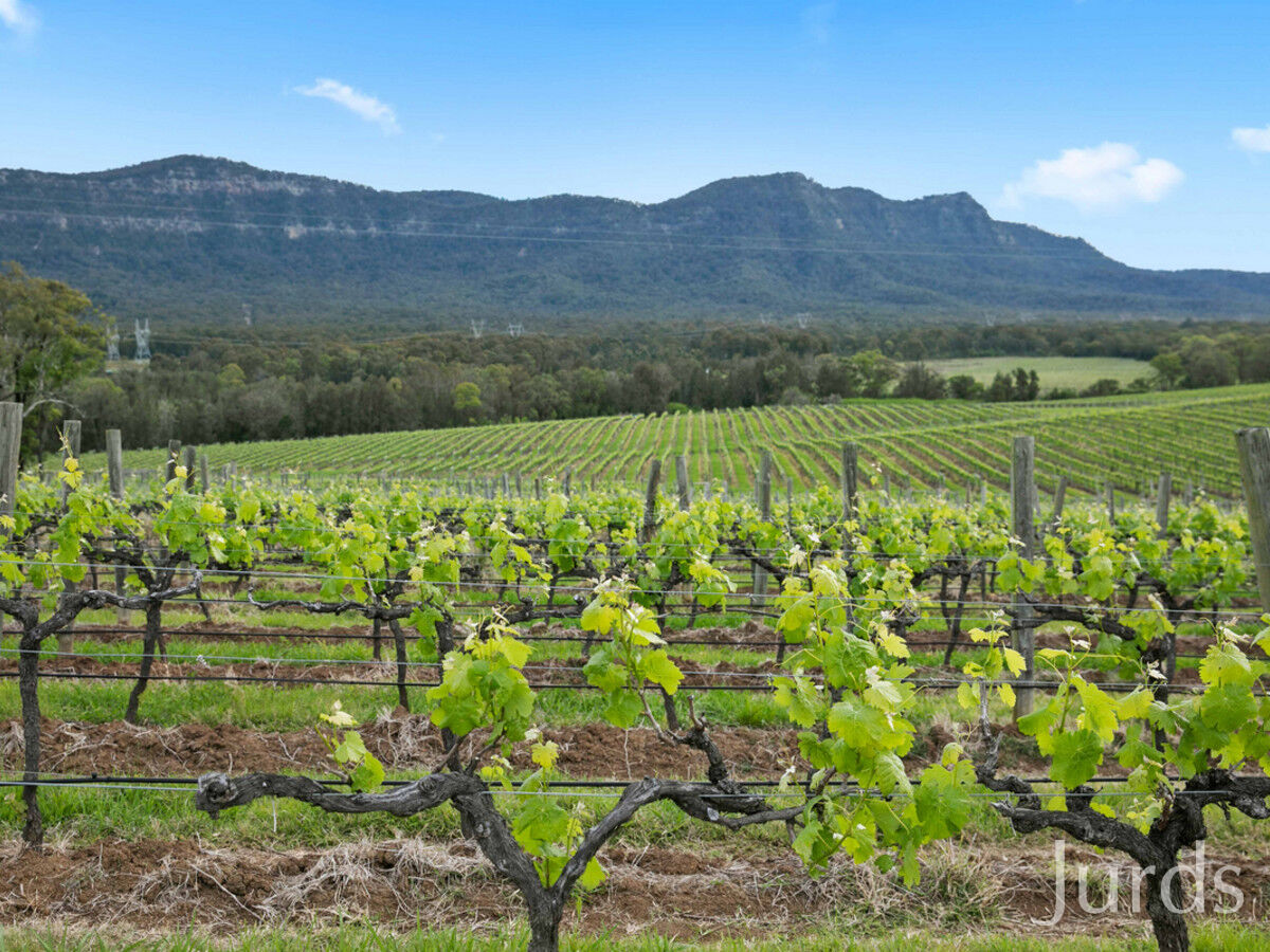 Lot 2 Mistletoe Lane, Pokolbin, Pokolbin - Thumbnail 6