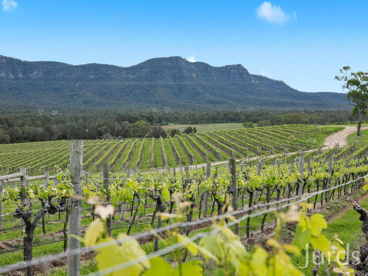 Lot 2 Mistletoe Lane, Pokolbin, Pokolbin - Thumbnail 8