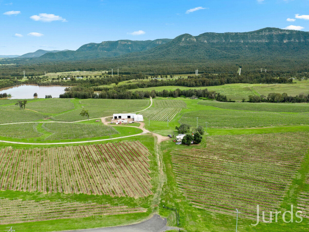 Lot 2 Mistletoe Lane, Pokolbin, Pokolbin - Thumbnail 3