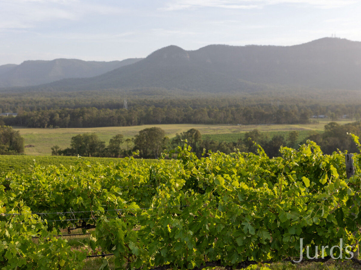 Lot 3 Mistletoe Lane, Pokolbin, Pokolbin - Thumbnail 8
