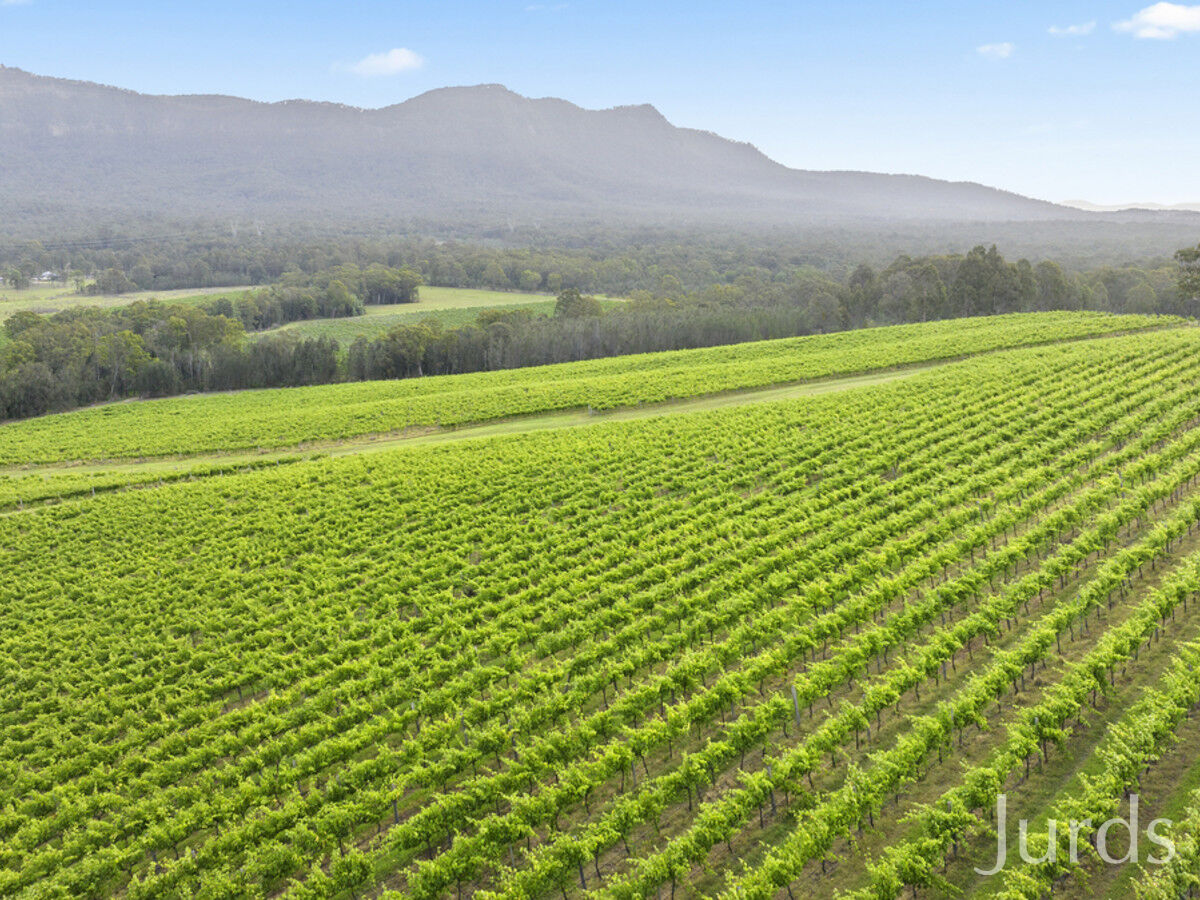 Lot 3 Mistletoe Lane, Pokolbin, Pokolbin - Thumbnail 7