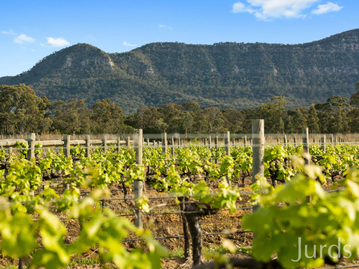 Lot 4 Mistletoe Lane, Pokolbin, Pokolbin - Thumbnail 5