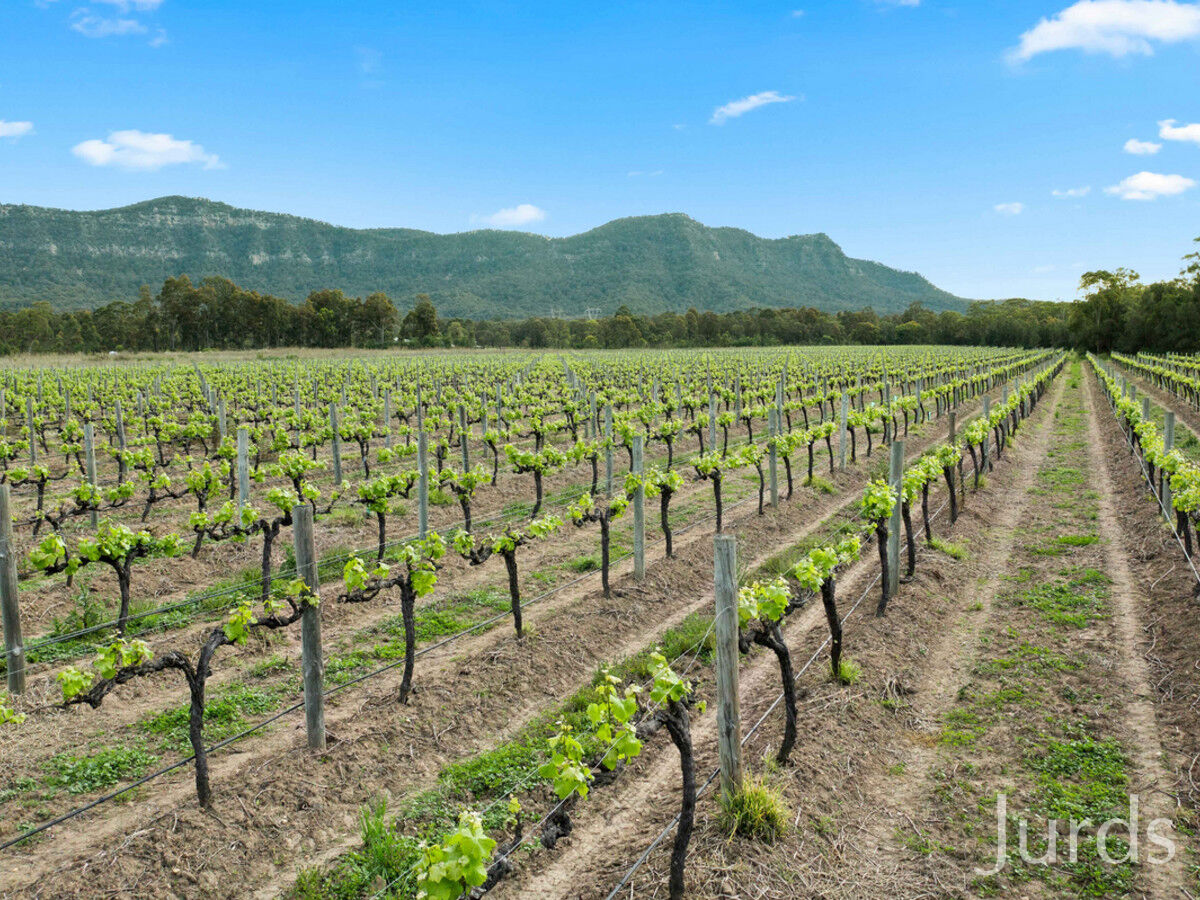 Lot 4 Mistletoe Lane, Pokolbin, Pokolbin - Thumbnail 8