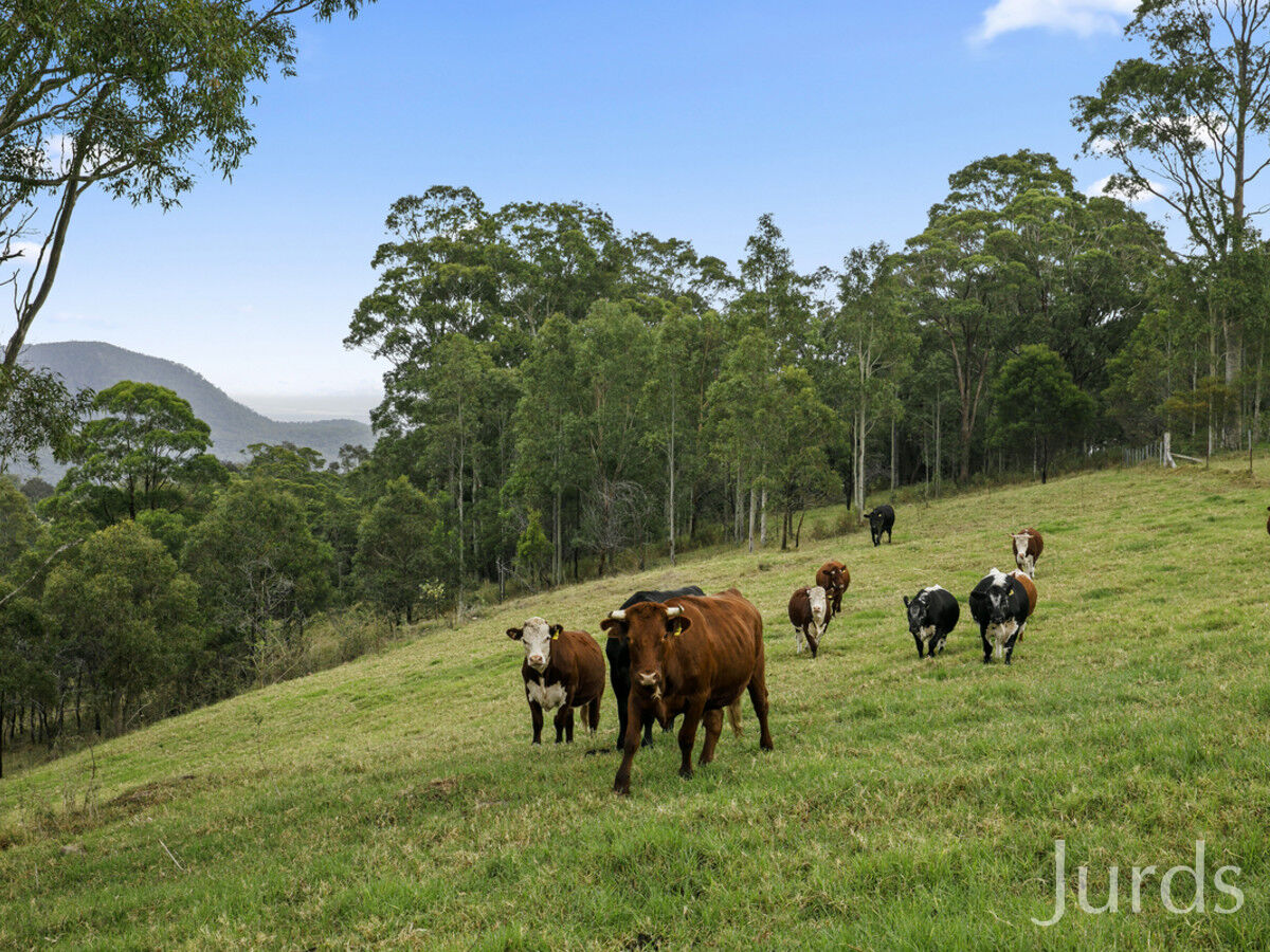 209 (Lot 26) Mount Bright Road, Mount View, Mount View - Thumbnail 8